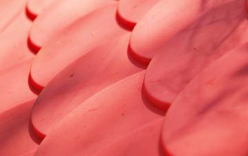 Eggington plastic roof costs