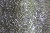 Eggington fibreglass roof work